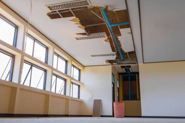 Best Water damage cleanup near me  in Avon Park, FL