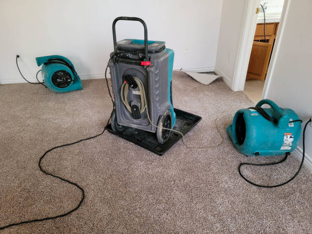 Best Emergency water damage restoration  in Avon Park, FL