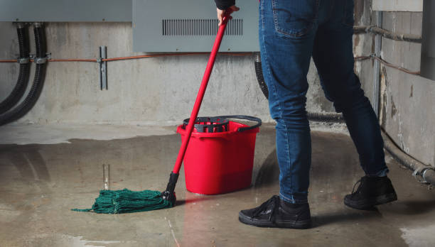 Best Flooded house restoration  in Avon Park, FL