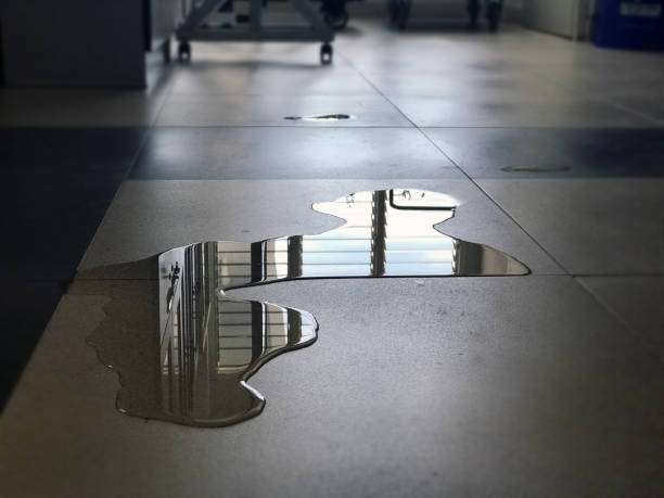 Best Professional water damage repair  in Avon Park, FL