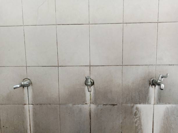 Best Mold removal after water damage  in Avon Park, FL